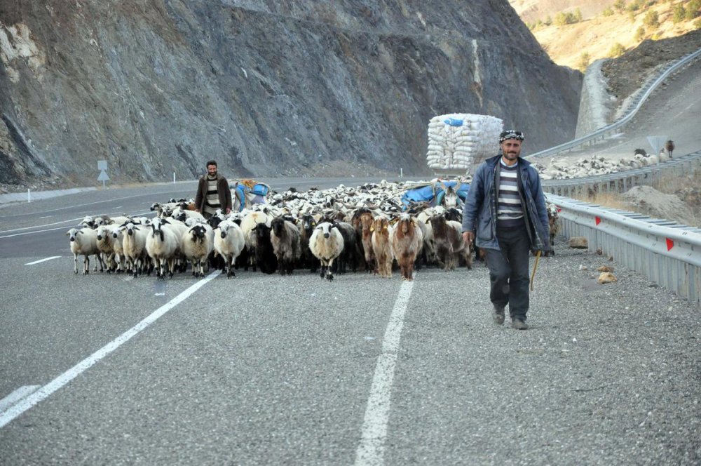 GÖÇERLER DÖNÜŞ YOLUNDA