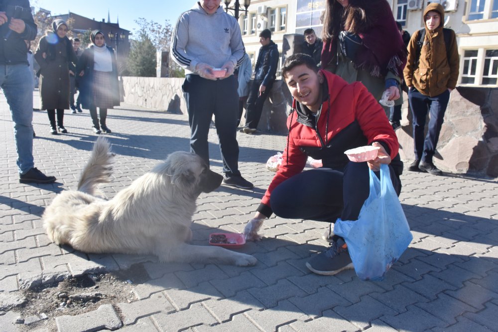 ÖRNEK ÇALIŞMA!