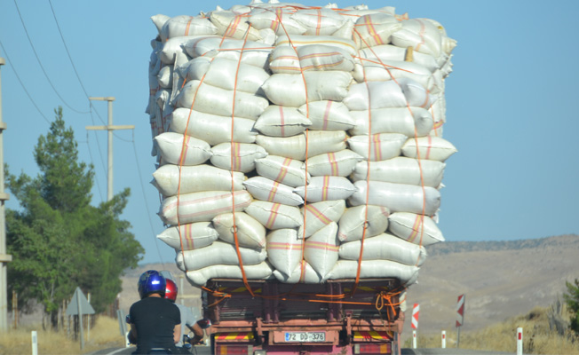 TEHLİKE SAÇIYORLAR!