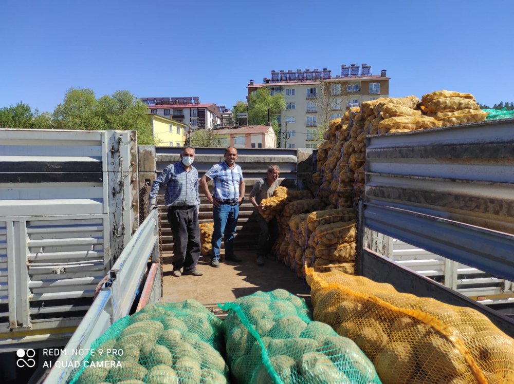 125 TON PATATES DAĞITILACAK