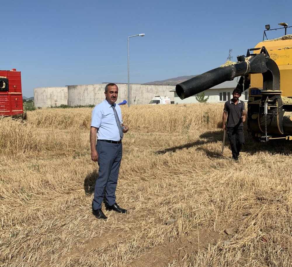 ÖRNEK PROJEDE İLK HASAT!