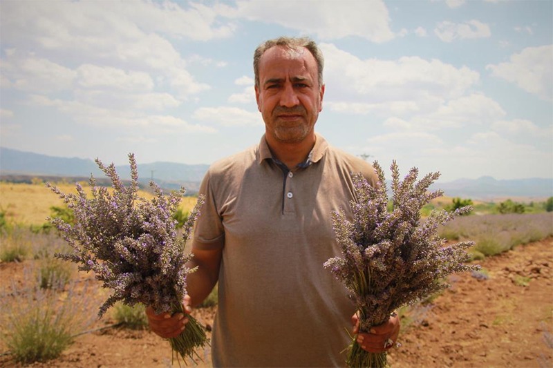 EKONOMİ`YE LAVANTA KATKISI