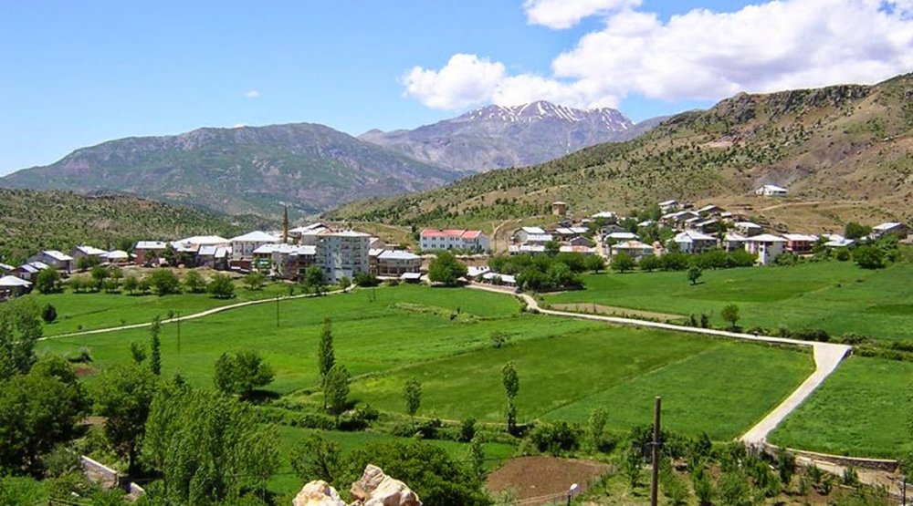 SERVİ`NİN HALİ İÇLER ACISI!