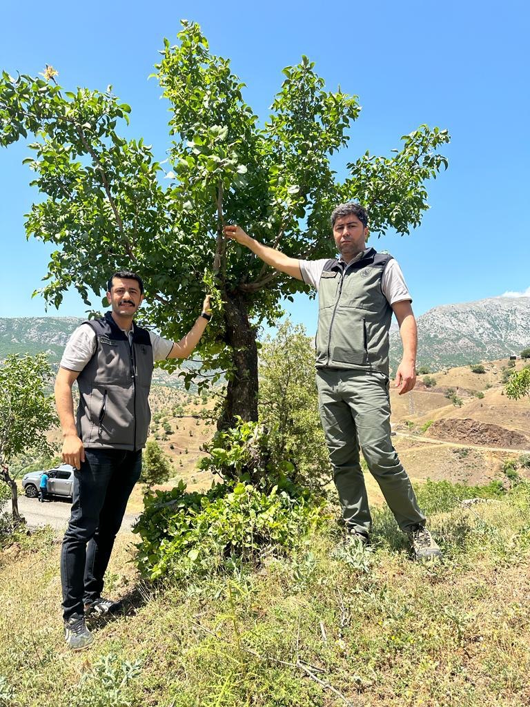 MENENGİÇLER AŞILANDI