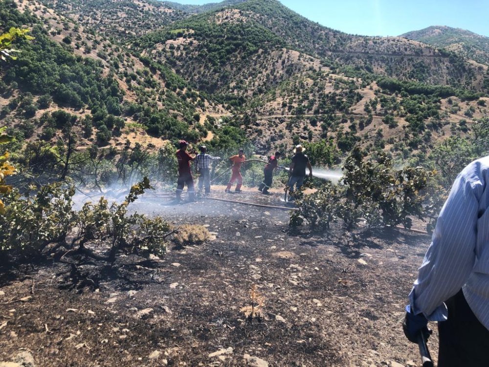 KORKUTAN YANGIN UZUN UĞRAŞLAR SONUCU SÖNDÜRÜLDÜ