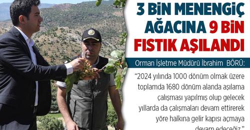GENC FISTIK VE MENENGİÇ  CENNETİNE DÖNÜŞECEK