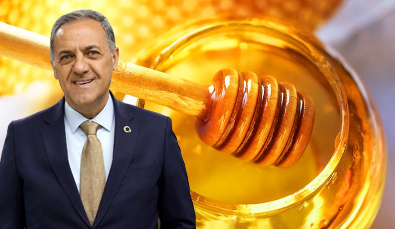 BİNGÖL BALINA  2 ALTIN MADALYA