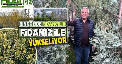 BİNGÖL`ÜN  TROPİKAL ORMANI`FİDAN 12