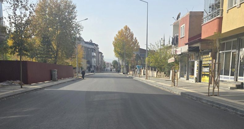 GENÇ`TE BSK İLE KAPLANAN YOL HIZ ENDİŞESİNİ BERABER GETİRDİ