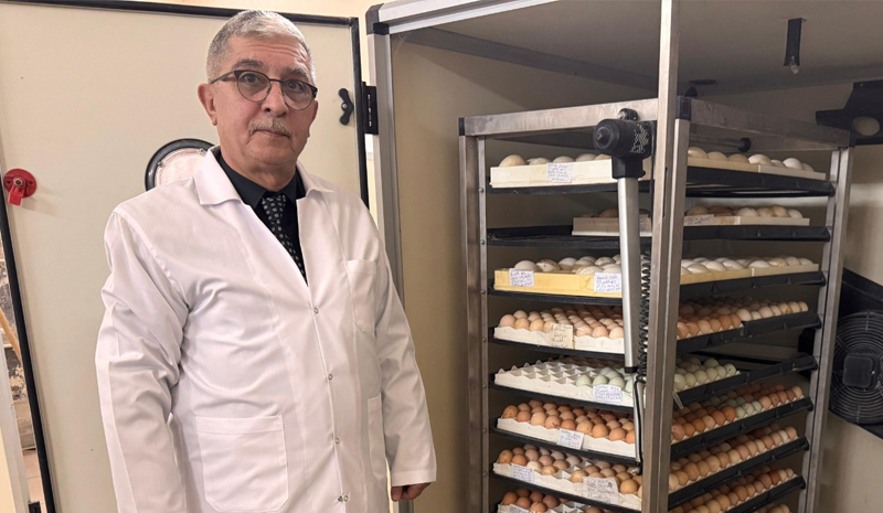 10 BİN YUMURTA KAPASİTELİ KULUÇKA MERKEZİ HİZMETE AÇILDI