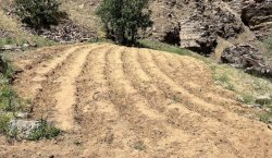 UYUŞTURUCU TACİRLERİNE ŞOK BASKIN