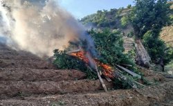 JANDARMA GÖZ AÇTIRMIYOR