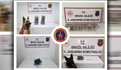 BİR HAFTADA 29 NARKOTİK OLAYA MUDAHALE