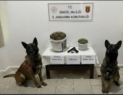 UYUŞTURUCU OPERASYONU 3 GÖZALTI