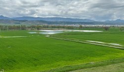 BİNGÖLLÜ ÇİFTÇİLERE KRTİK UYARI