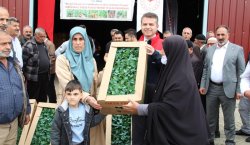 570 ÜRETİCİYE 330 BİN SEBZE FİDES DAĞITILDI