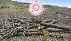 VALİLİK`TEN AÇIKLAMA PLANLI FAALİYETLER YÜRÜTÜLÜYOR