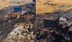 ARI KOVANLARI ATEŞE VERİLDİ`İDDASI