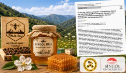 BİNGÖL BALI DÜNYA BİLİM LİTARETÜRÜNDE